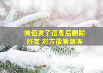 微信发了信息后删除好友 对方能看到吗